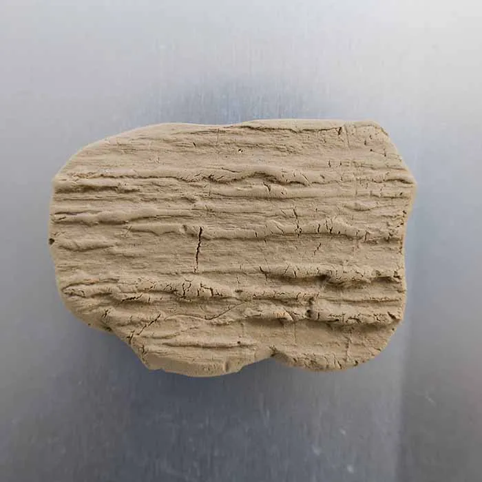 Aquascaping steps Color layers of the earth IAPLC 2024 - Kazuma Takeuchi / Japan